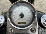 IMG_8586.