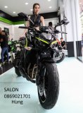 Kawasaki_Z1000_2017_zing_2.