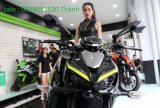 Kawasaki_Z1000_2017_zing_8 - Copy.